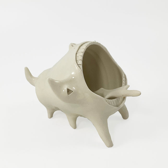 Porcelain Salt Pig Container and Spoon