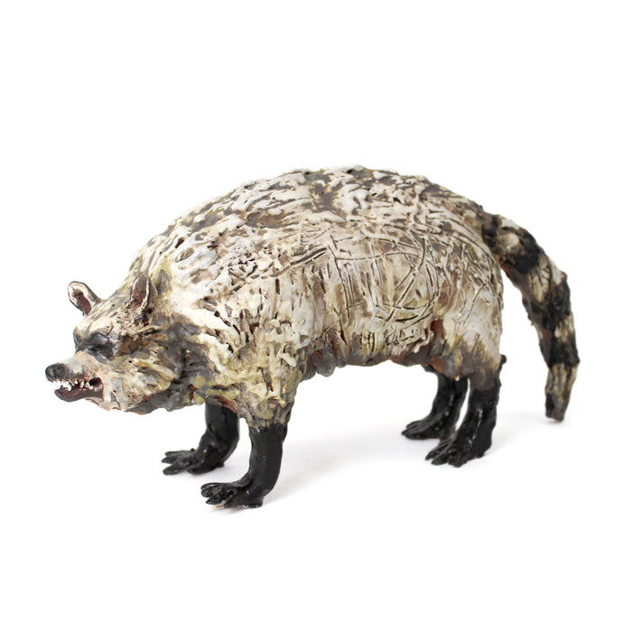 Racoon Bandit