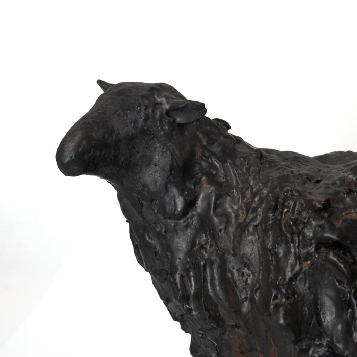 Large Black Sheep