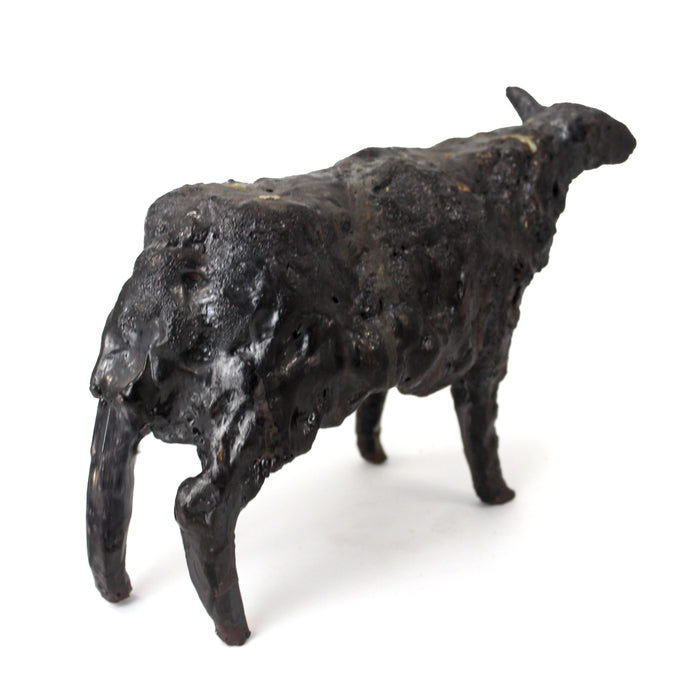 Black Sheep