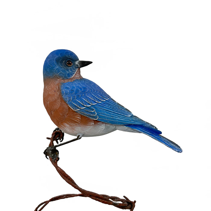 Eastern Bluebird