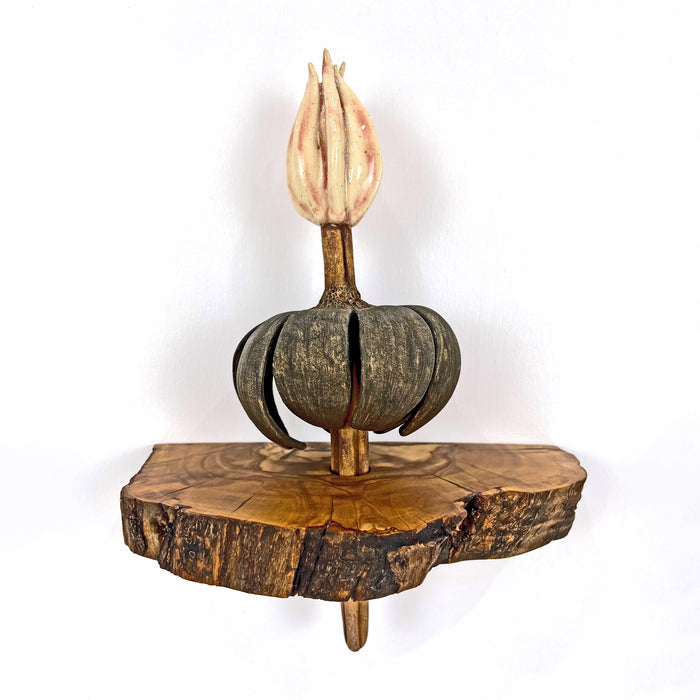 Primula Veris (Cowslip Primrose)