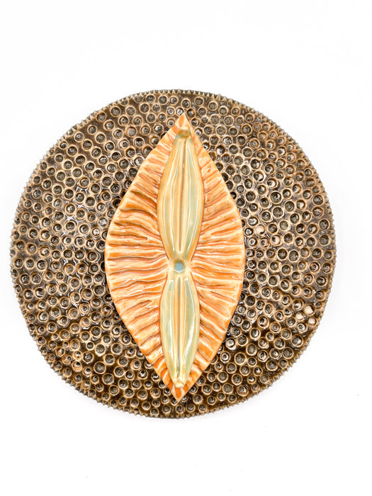 Raphidodiscus Marylandicus