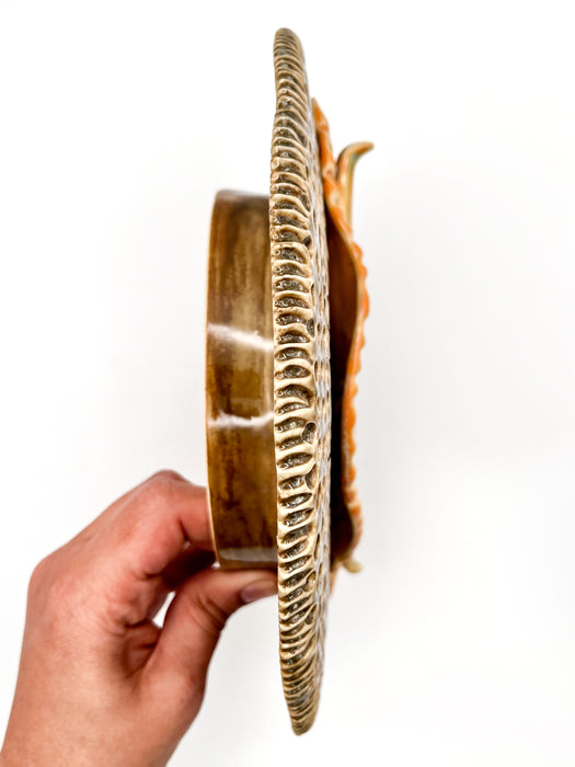 Raphidodiscus Marylandicus