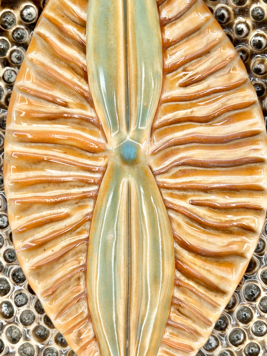 Raphidodiscus Marylandicus