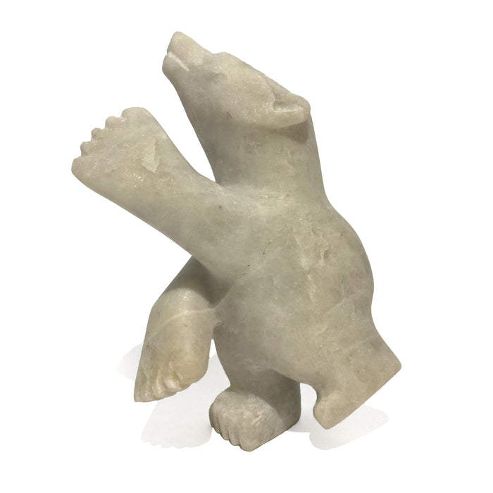 2 Way Polar Bear