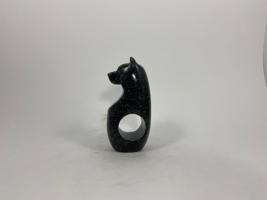 Spirit Bear