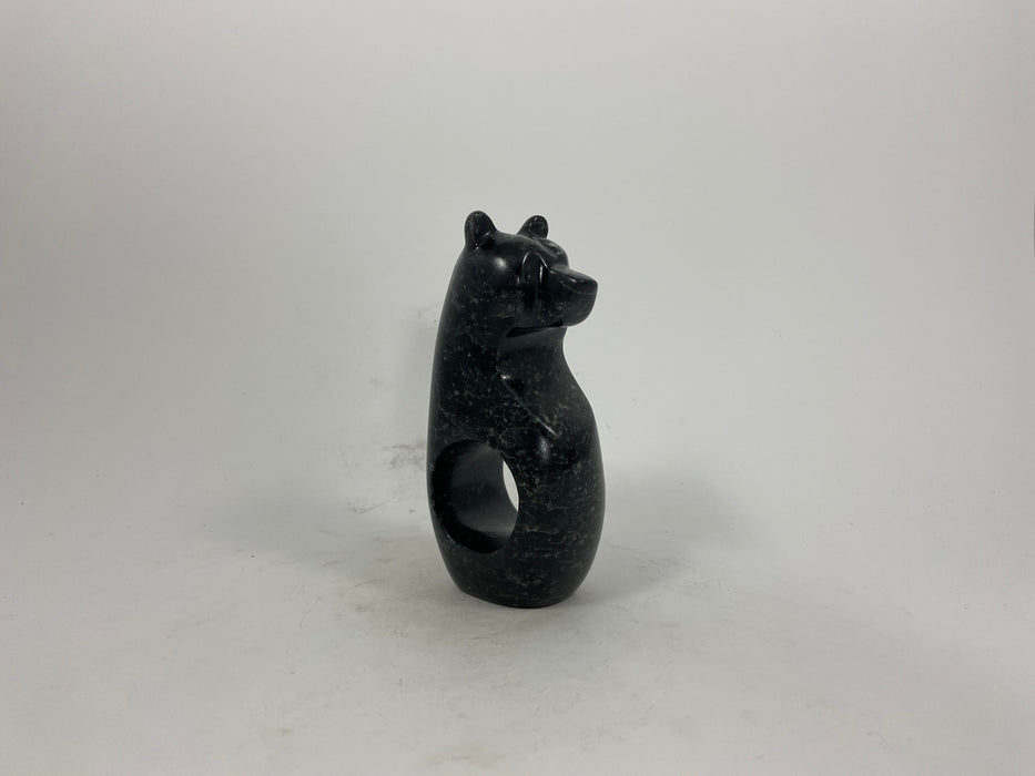 Spirit Bear