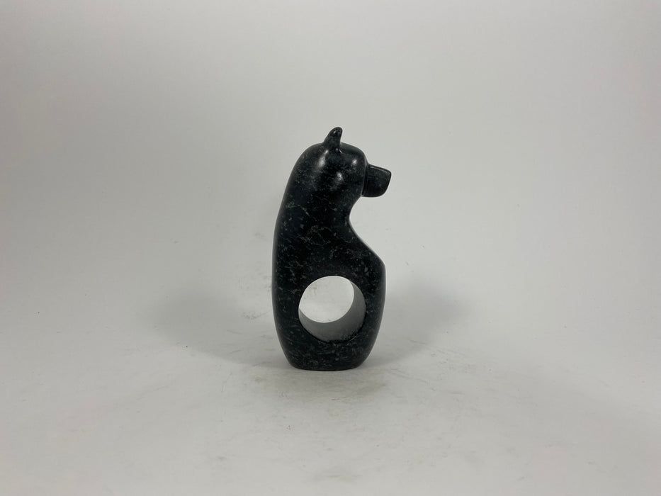 Spirit Bear