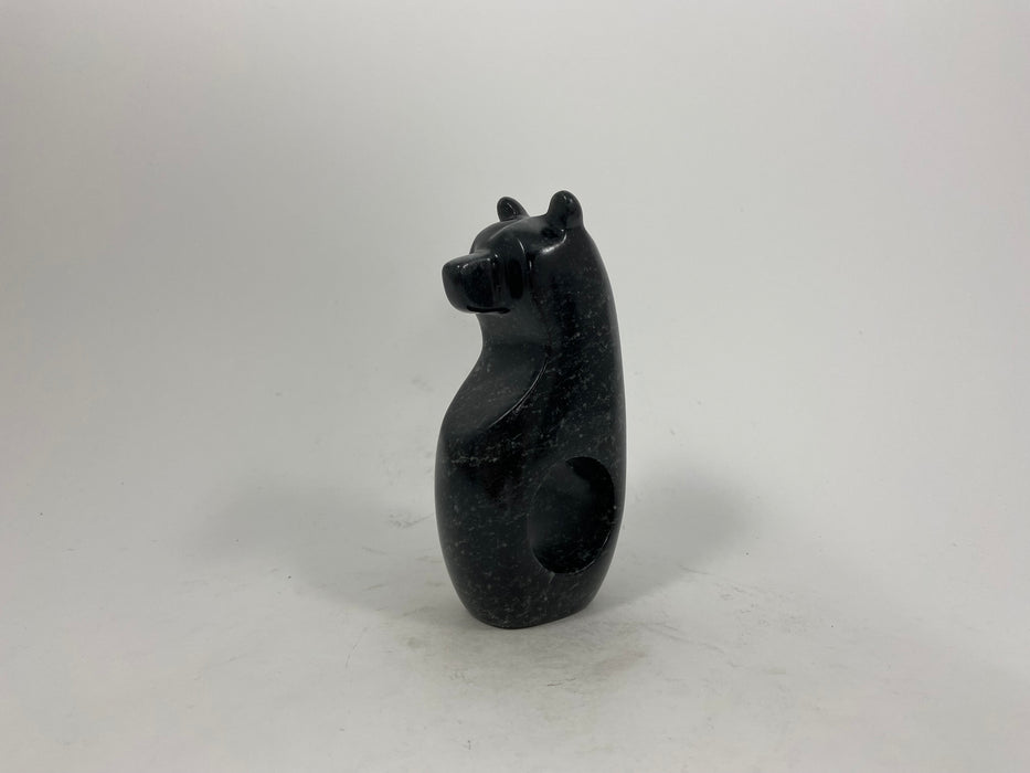 Spirit Bear