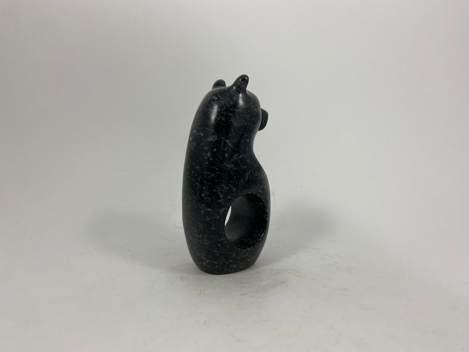 Spirit Bear