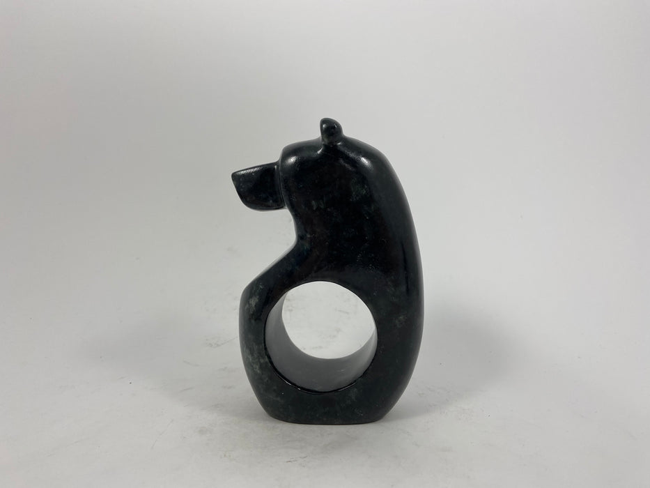 Spirit Bear