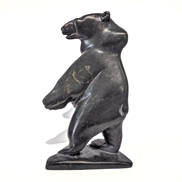 Bear Leaning Into the Wind