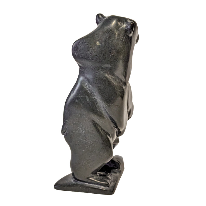 Bear Leaning Into the Wind