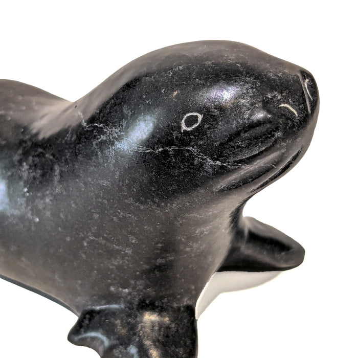 Seal