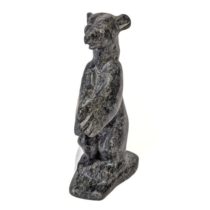 Standing Bear