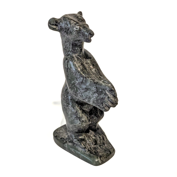 Standing Bear