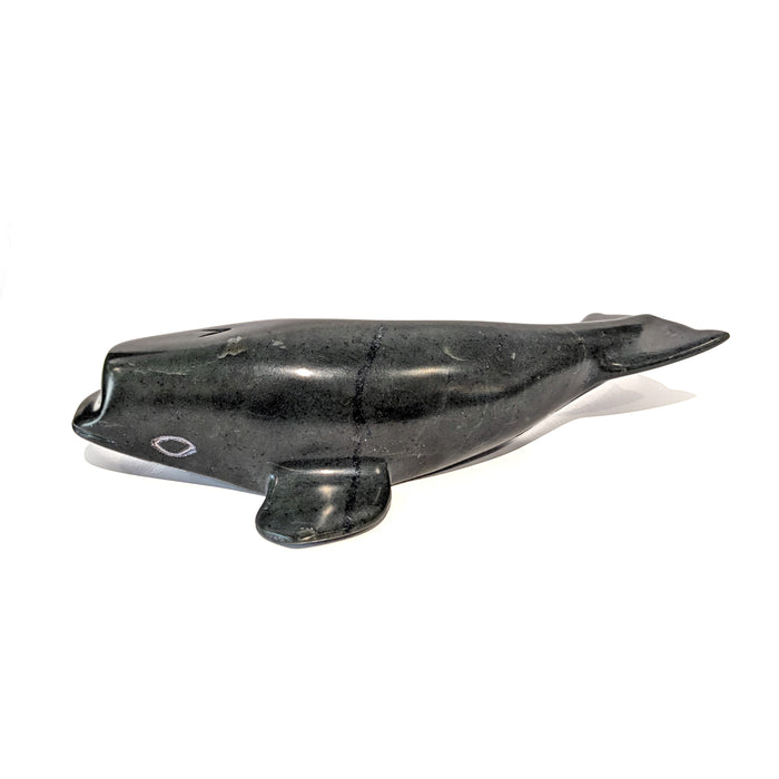 Whale