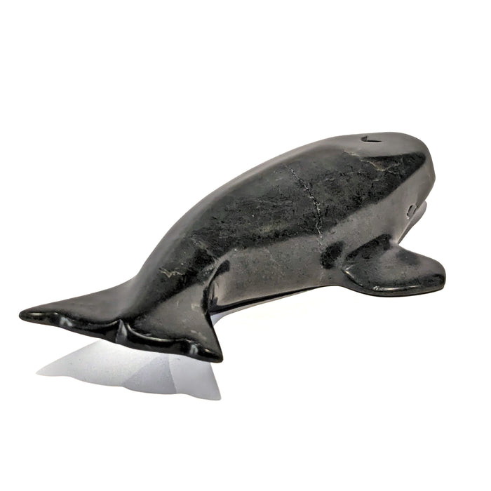 Whale
