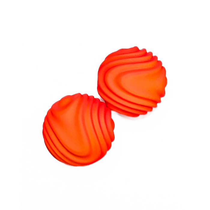 Paranott Earrings