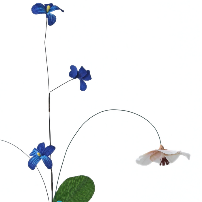 Late Spring, Early Summer