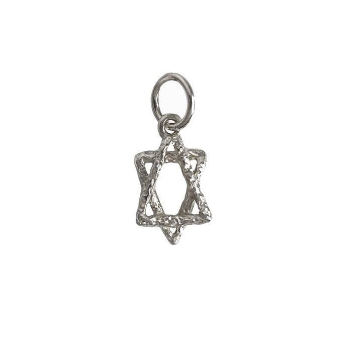 Textured Star of David,ss. chain