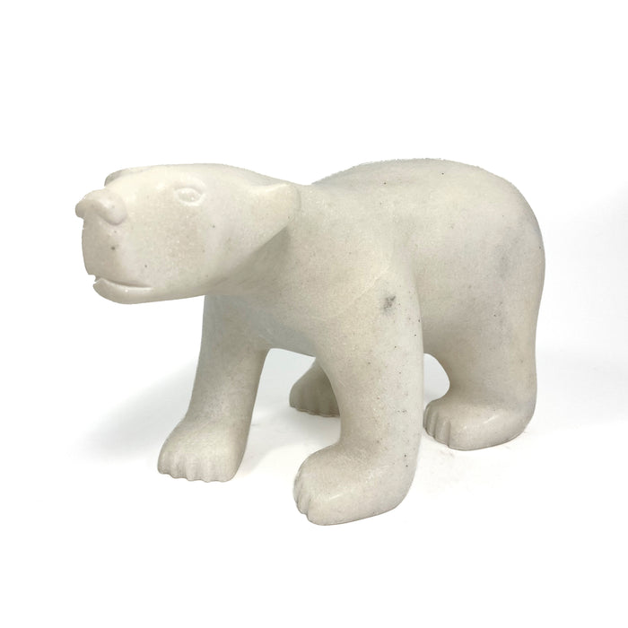 Walking Bear