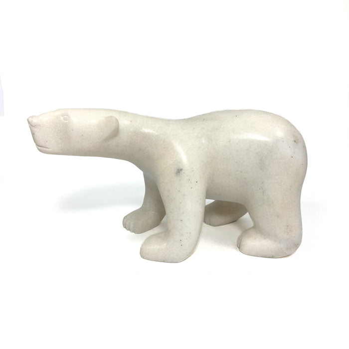 Walking Bear