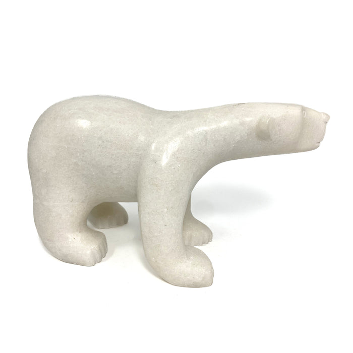 Walking Bear