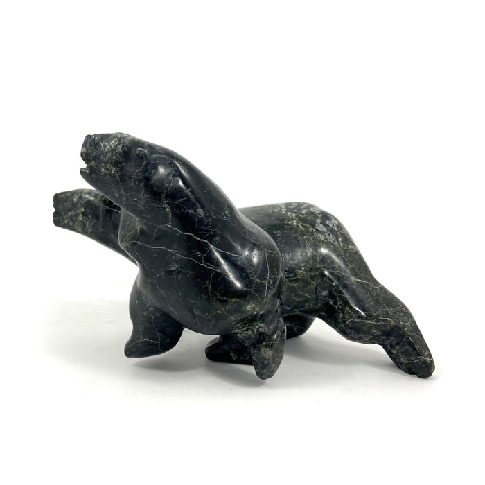 Bears