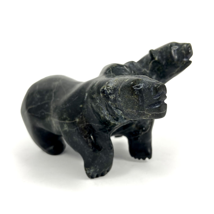 Bears