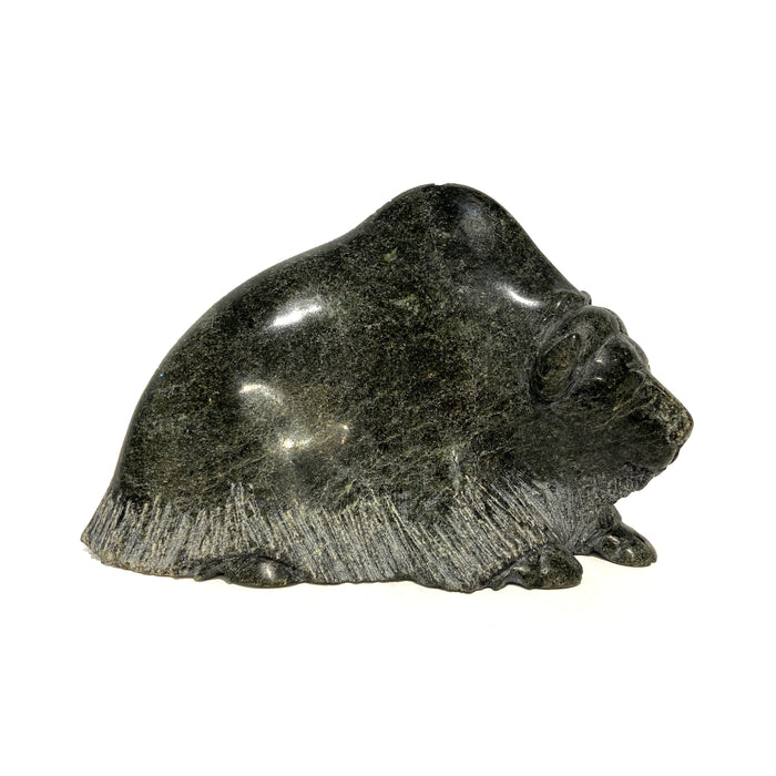 Musk Ox