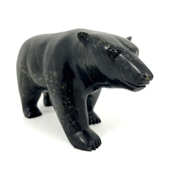 Walking Bear