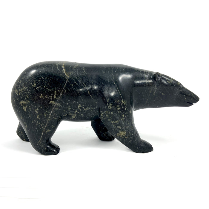 Walking Bear