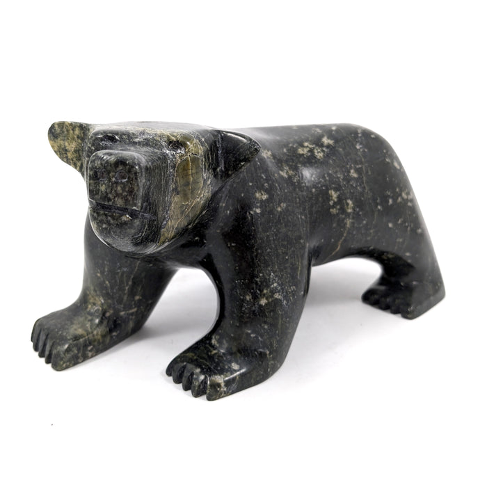 Walking Bear
