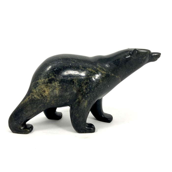 Walking Bear
