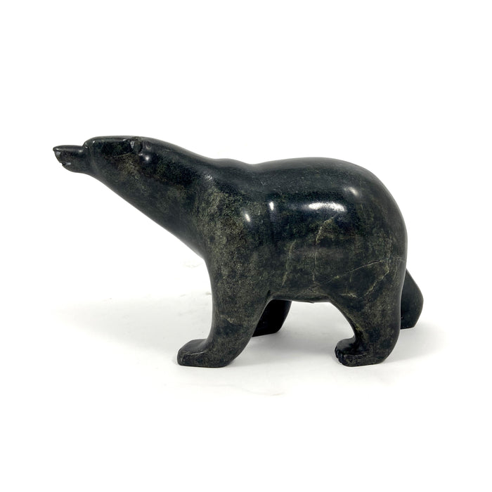 Walking Bear