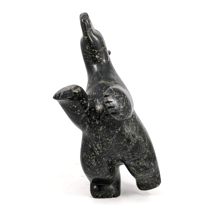 Dancing Bear
