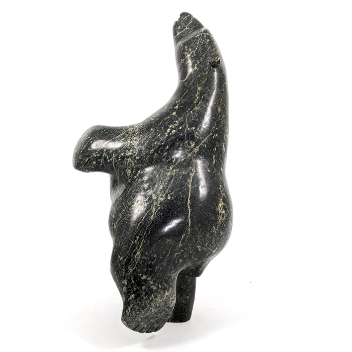 Dancing Bear