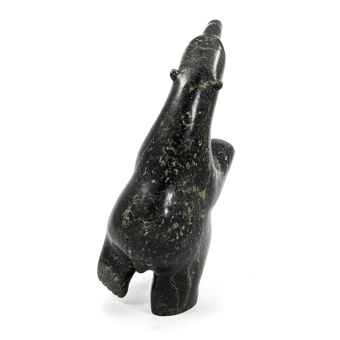 Dancing Bear