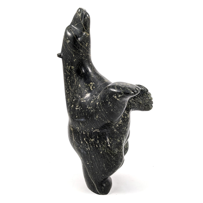 Dancing Bear