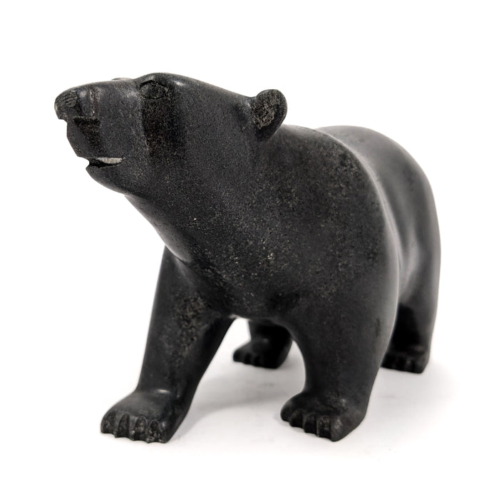 Walking Bear