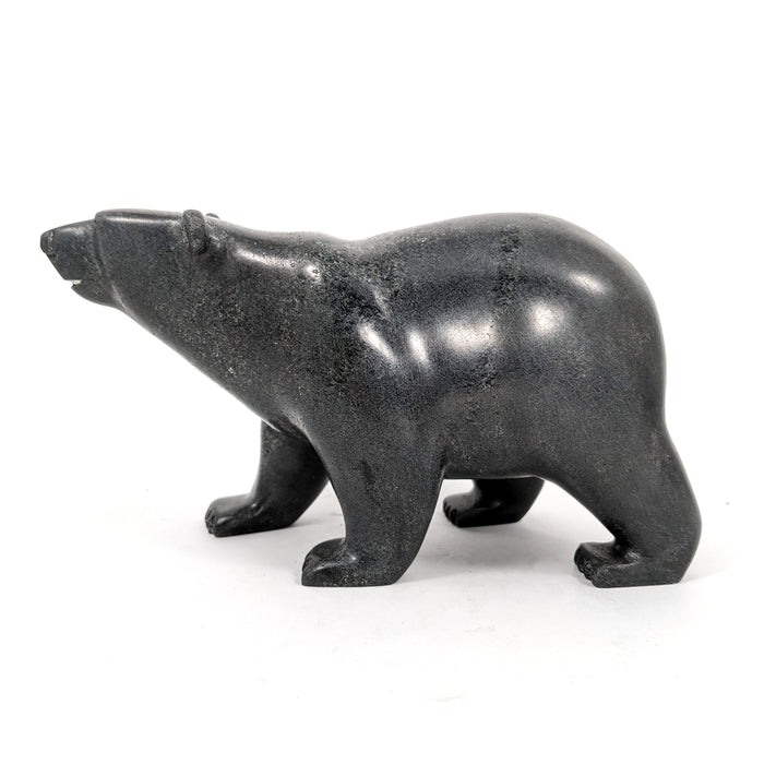 Walking Bear