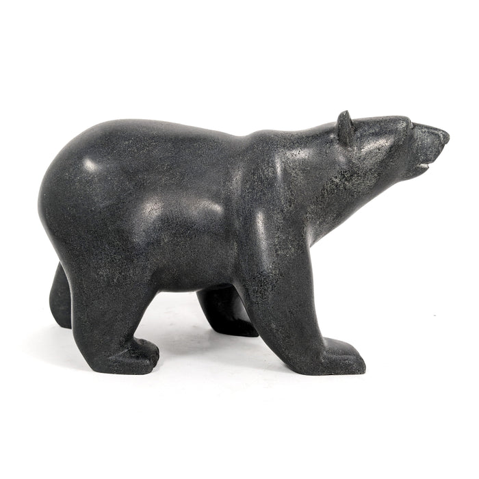 Walking Bear