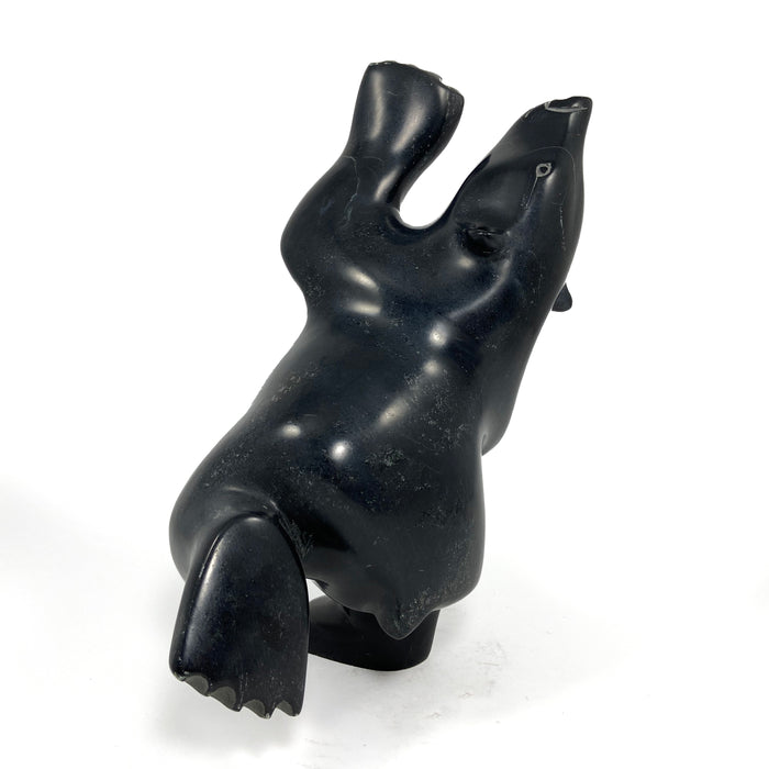 Dancing Bear