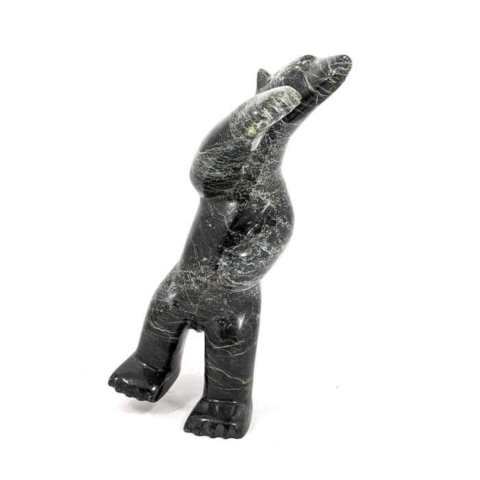 Dancing Bear