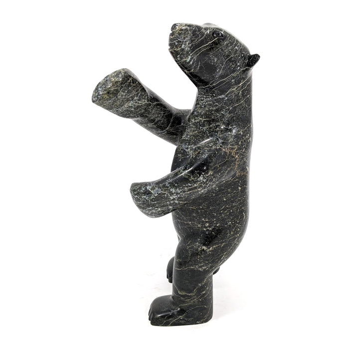 Dancing Bear