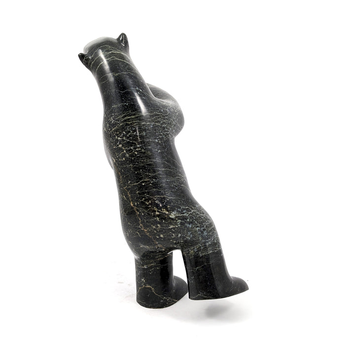 Dancing Bear