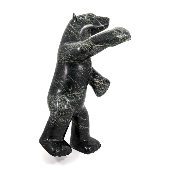 Dancing Bear