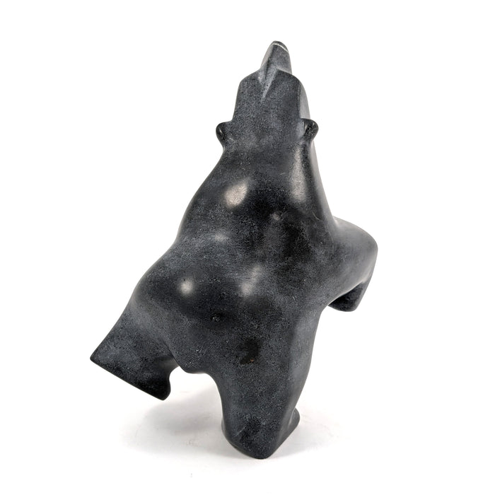 Dancing Bear